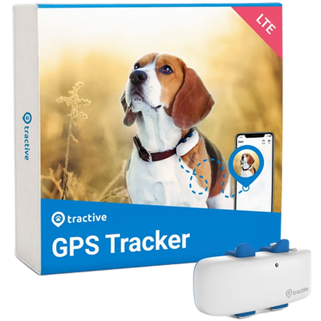 GPS & Activity Tracker koirille - TRDOG