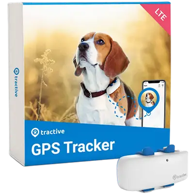 GPS Tracker för hundar - GPS & Activity Tracker med obegränsad räckvidd