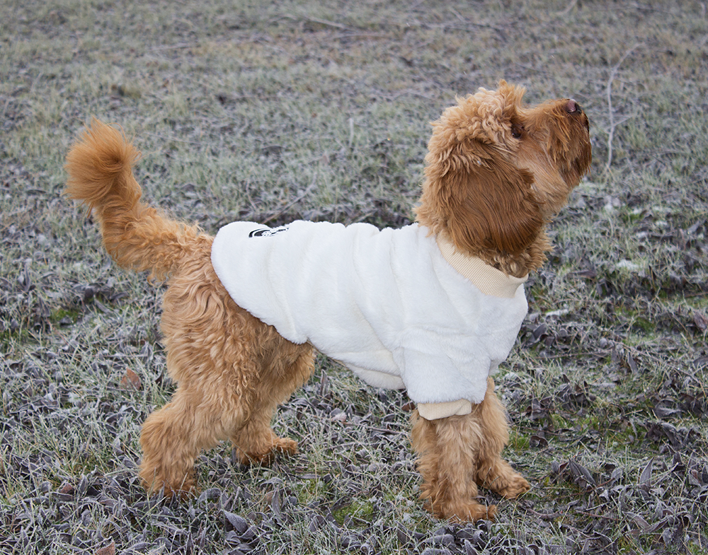 20545, 20546, 20547, 20548, 20549 (2).png