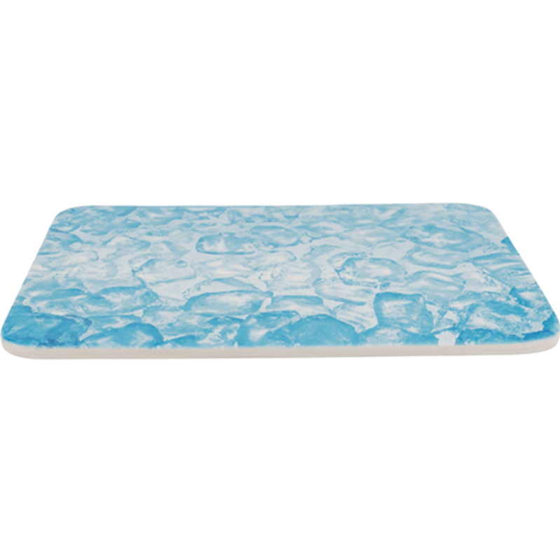 Trixie - Cooling Plate - Kylplatta Smådjur Blue 28 x 20 cm - Smådjur - Hus & Burinredning för smådjur - ZOO.se