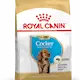 Royal Canin Cocker pentu 3 kg