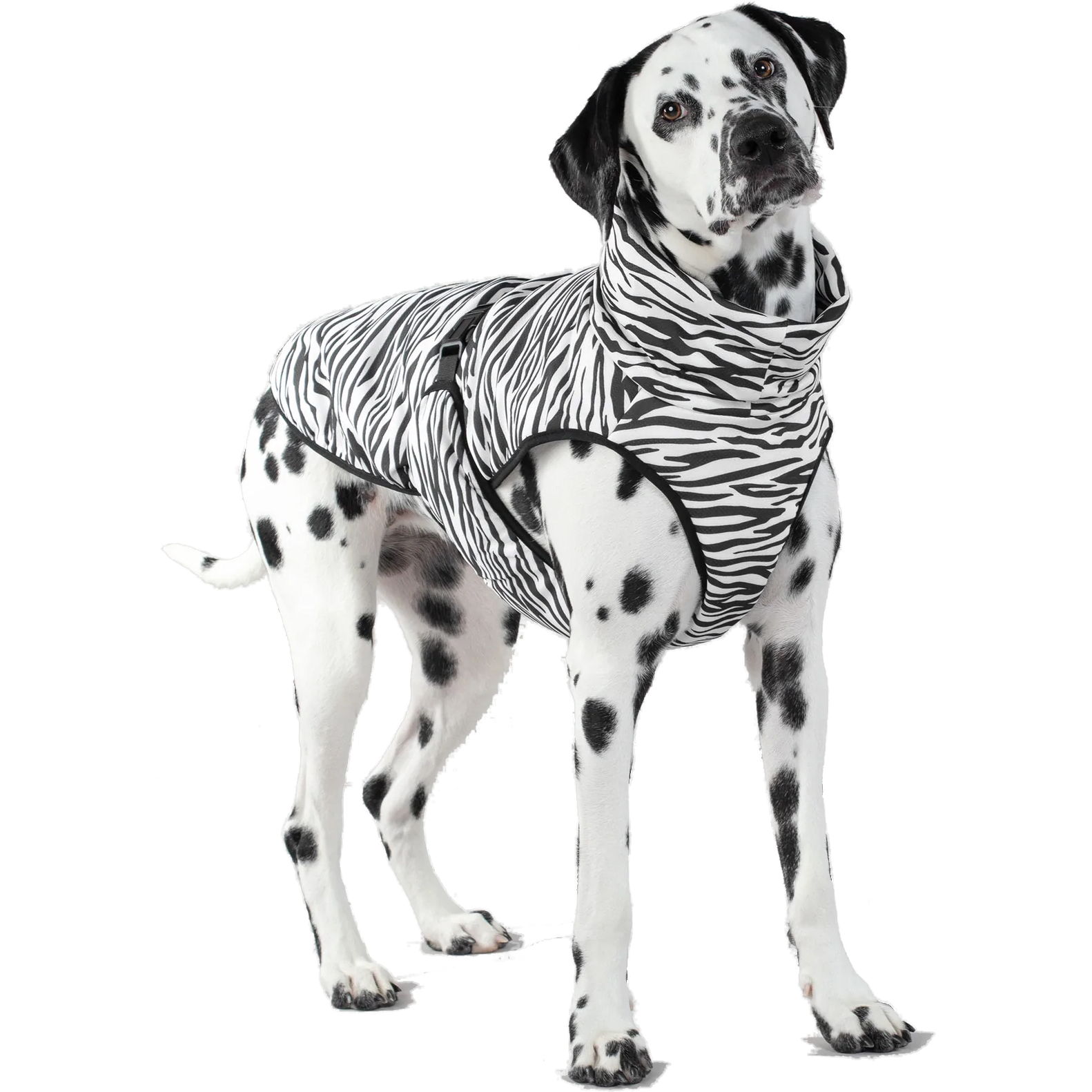 PAIKKA - Cool&Bug Vest 55cm - Hund - Hundepleie & kosttilskudd - Kjølematter - ZOO.no