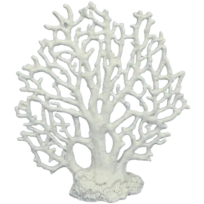 Coral Octocoral