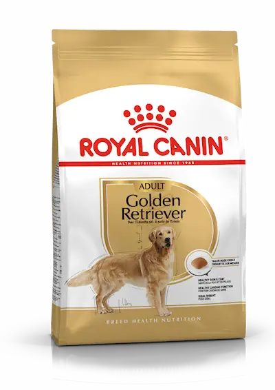 Golden Retriever Adult koiran kuivaruoka
