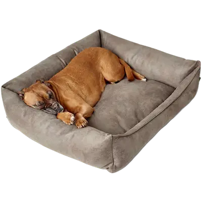 Dog & Cat Sofa Bed Bologna