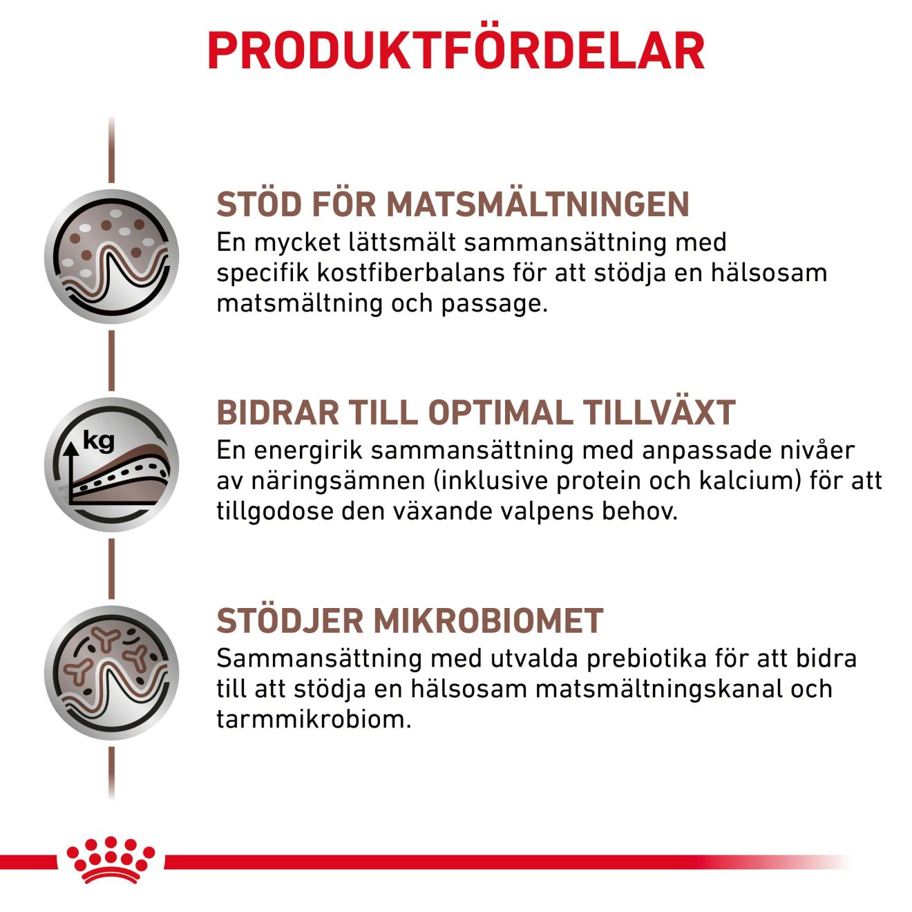 Gastrointestinal Puppy