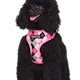 Urban pup Argyl rosa hund.png
