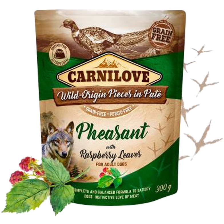 Carnilove - Dog Pouch Paté Pheasant with Raspberry Leaves 300 g - Koirat - Koiranruoka - Märkäruoka