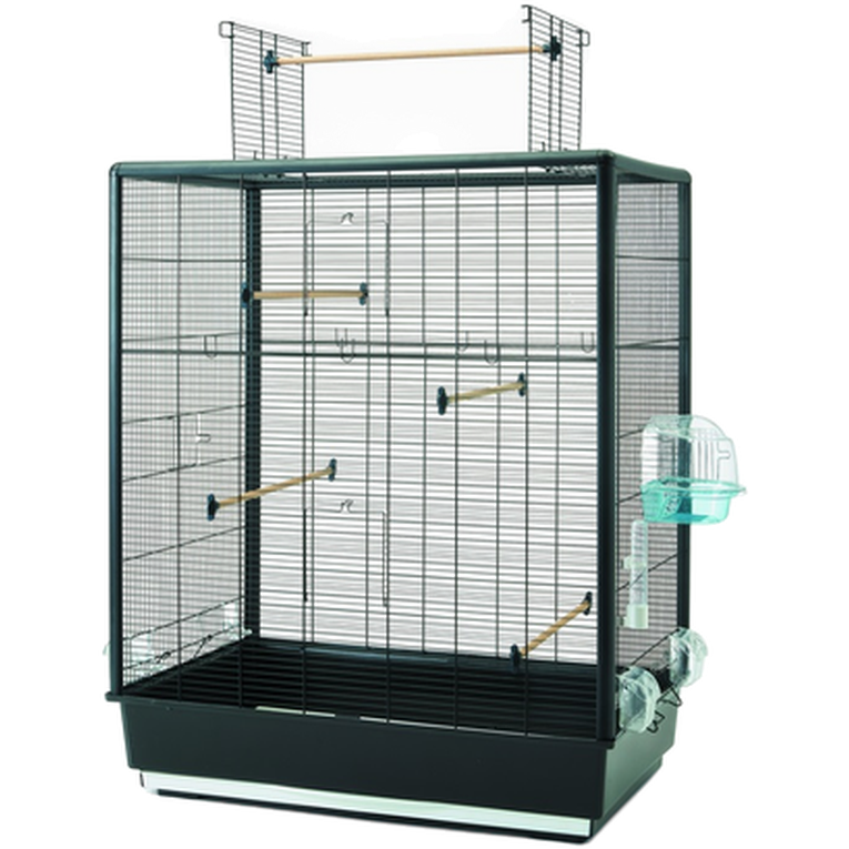 Savic - Primo 60 Open Empire Black 80x50x95cm - Fågel - Burar & Transporter för fågel - ZOO.se