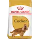 Cocker Adult koiran kuivaruoka