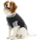 Buster Body Suit Classic for Dogs
