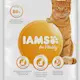 IAMS Cat Adult Salmon 3 kg - front.png