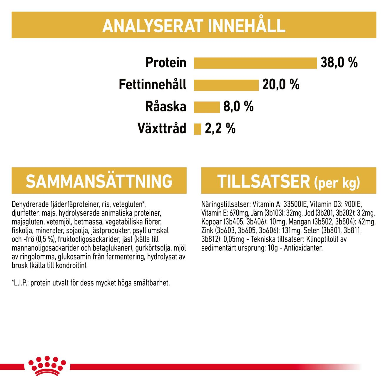 British Shorthair Kitten unge