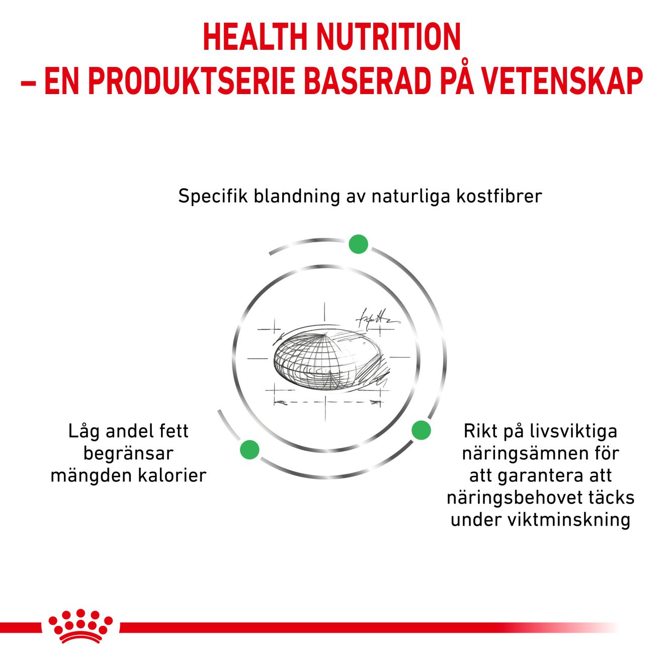 Weight Management Satiety