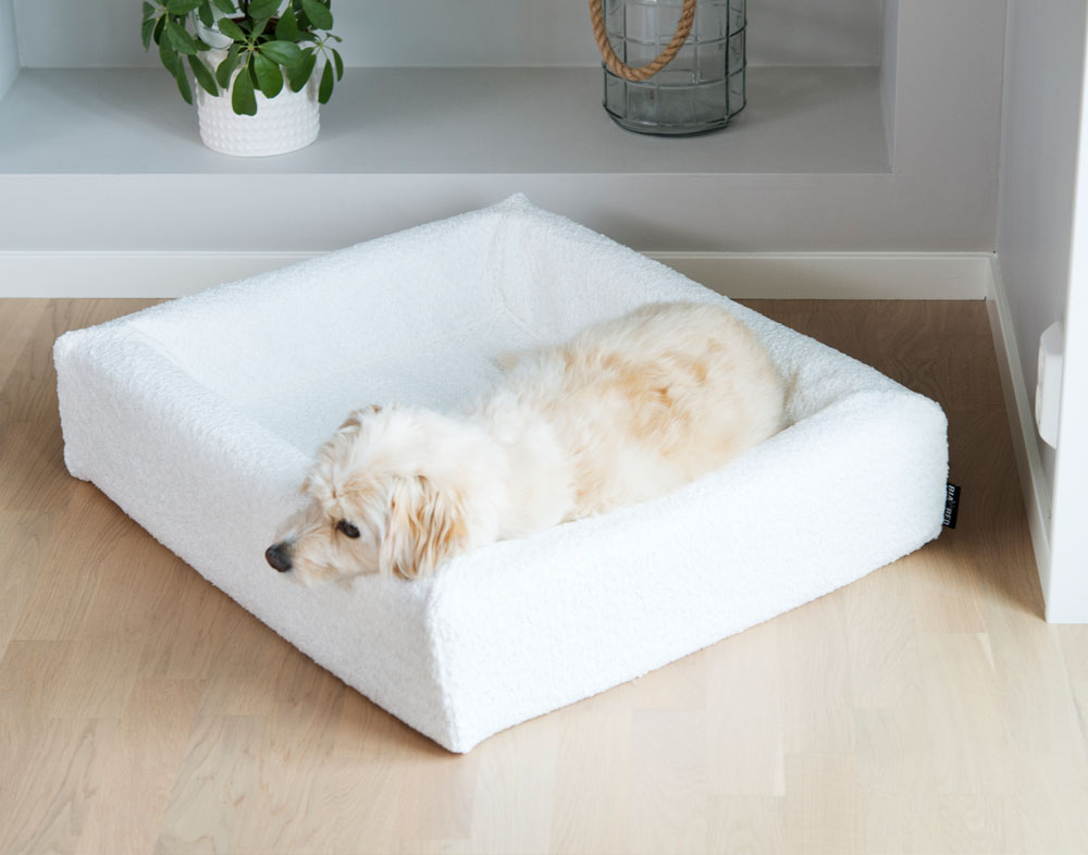 4326, 4327, 4328, 4329, 4330 (3).jpg