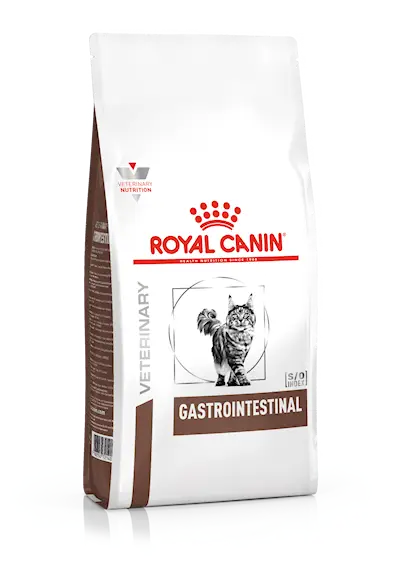 Gastrointestinal torrfoder för katt