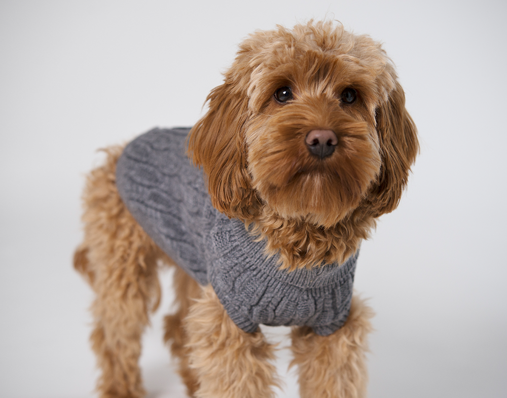 20540, 20541, 20542, 20543, 20544 (1).png