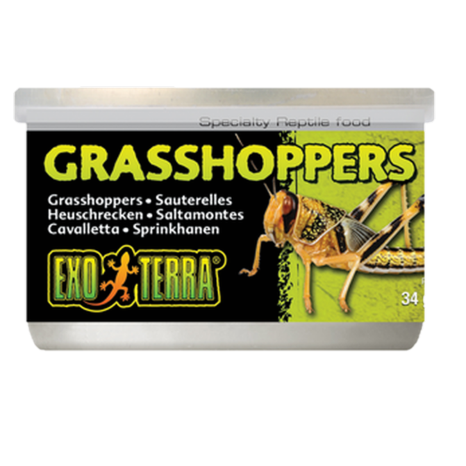 Exoterra - Grasshoppers - Specialty Canned Reptile Foods Black 35 g - Reptil - ZOO.se