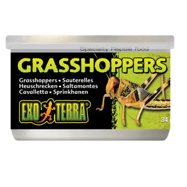 Grasshoppers- Canned Reptile Food