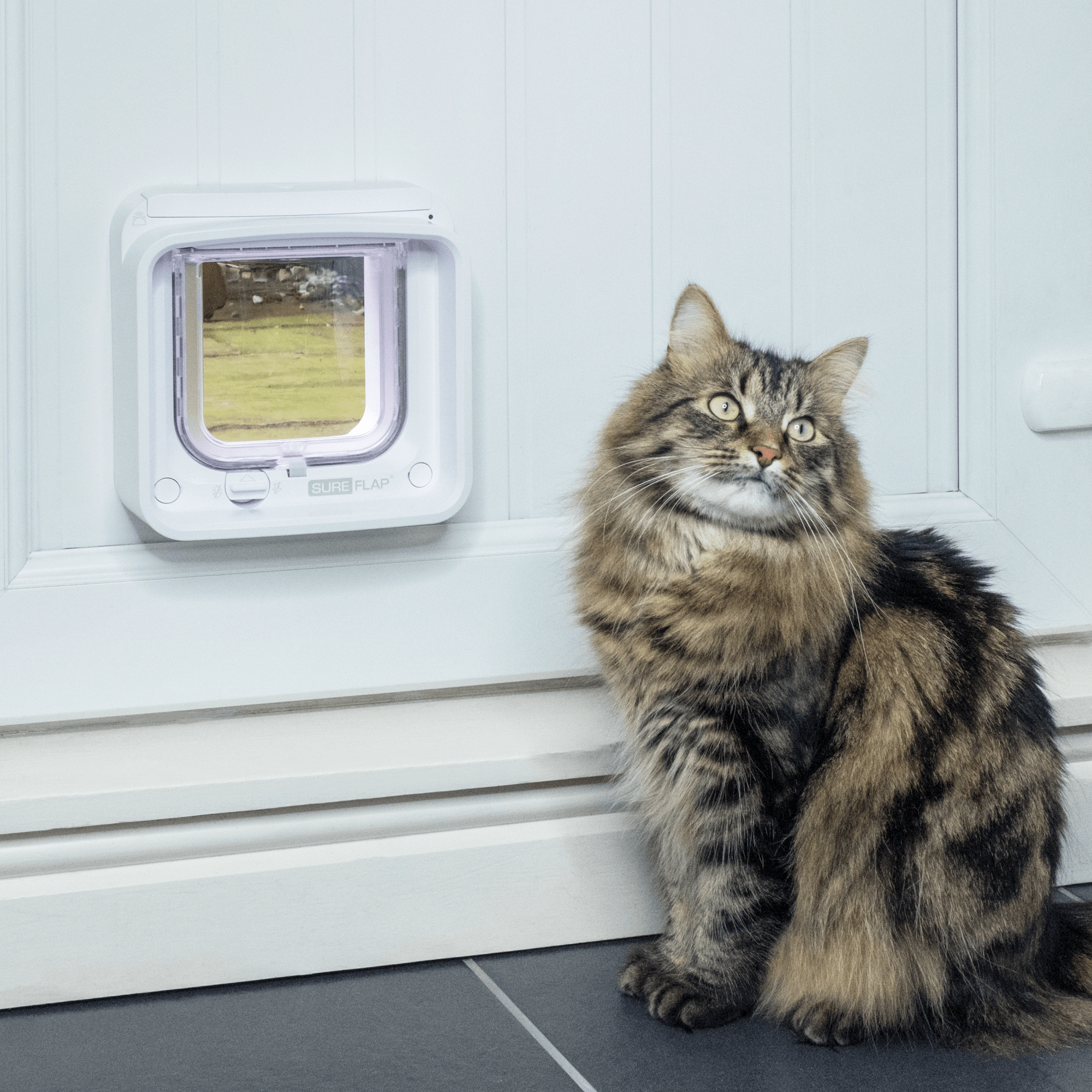 Microchip Pet Door Connect Katteluke + Hub ZOO.no