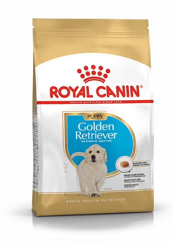 Golden Retriever Puppy Torrfoder för hundvalp 12 kg
