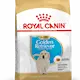 Royal Canin Rase Golden Retriever Junior 12 kg