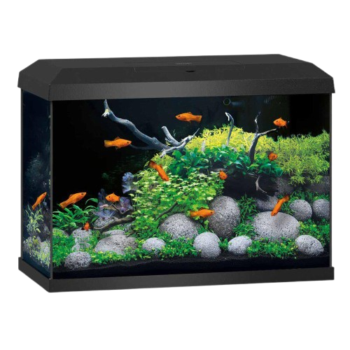 Akvarium Primo 70 Black 2.0 61x31x44 cm 70L - Akvaristen - Akvarium & møbler - Akvarium - Juwel