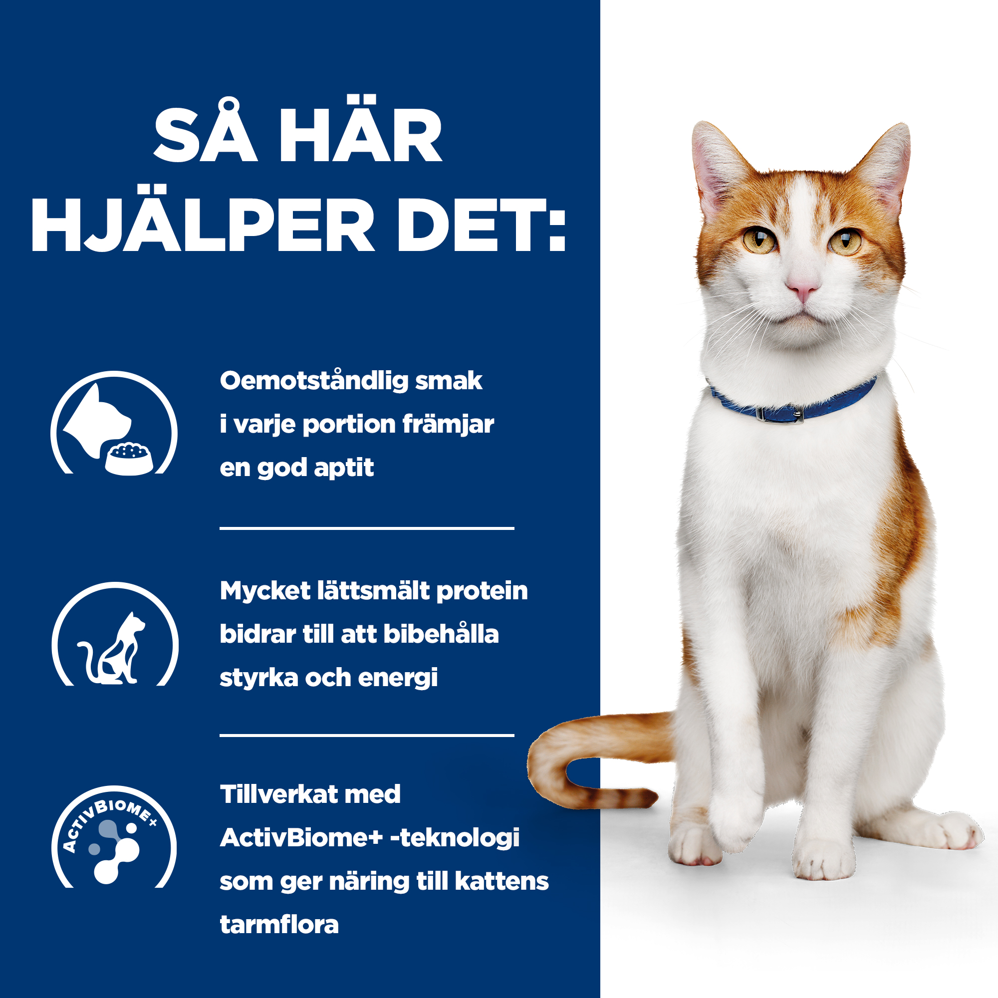 BK33932-Ongoing_How it Helps.jpg