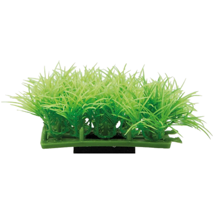 Plant pad 2 Grön 7x4,5x4cm