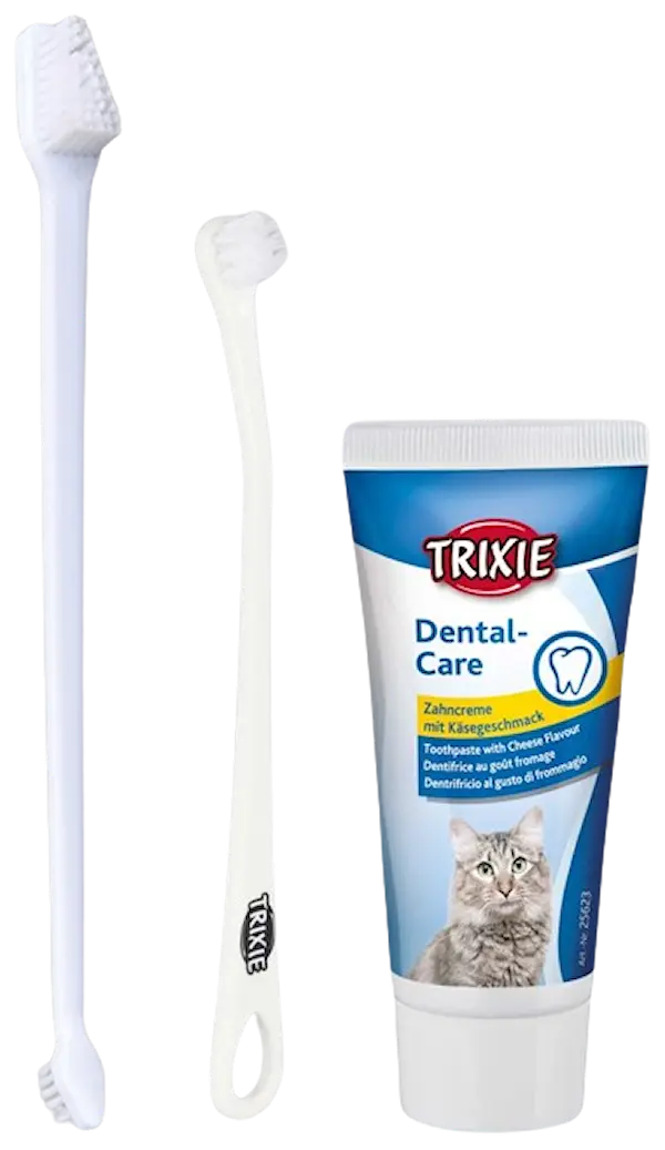 Tandvårds set till katt, 2 borstar + tandkräm m ostsmak
