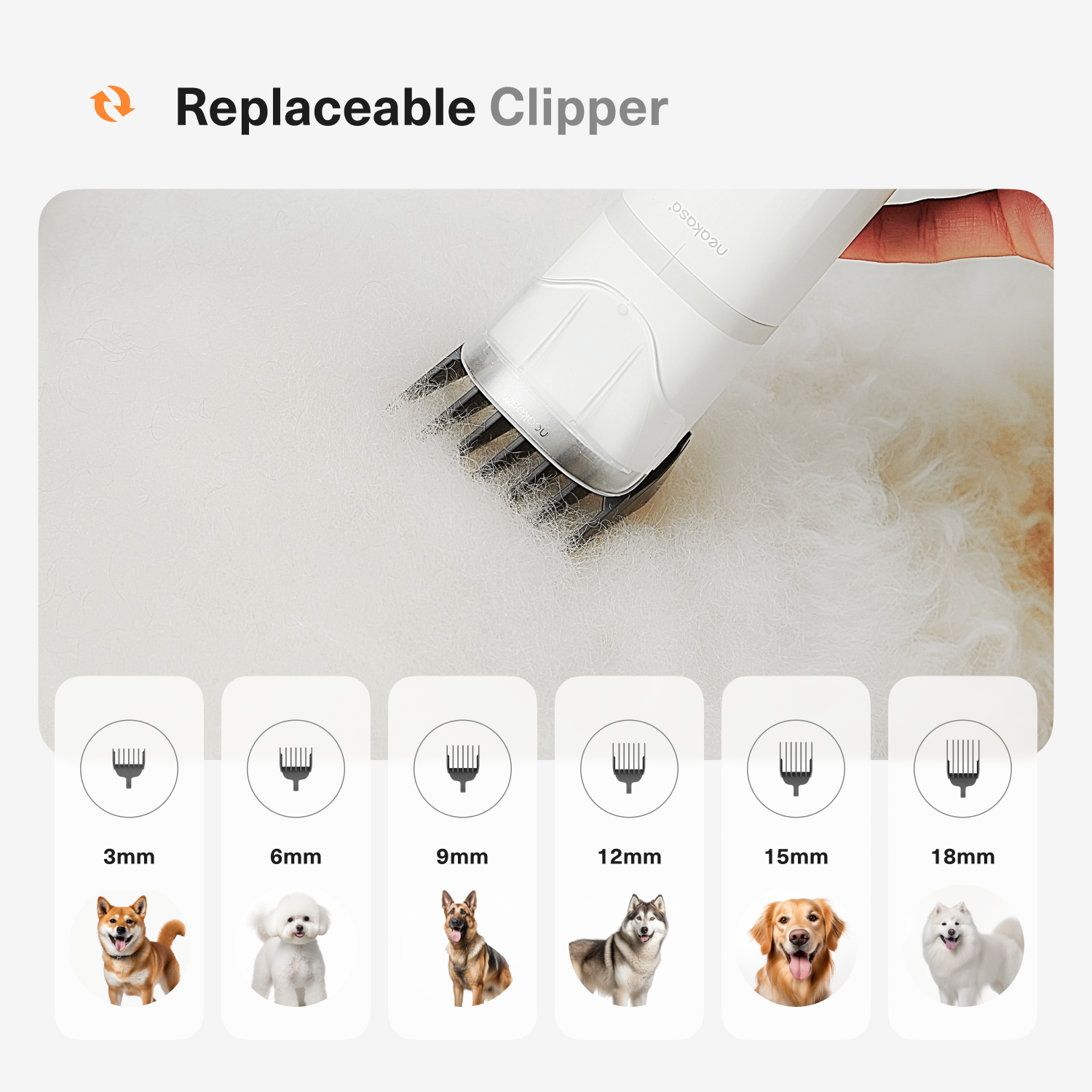 S1 Pro Dis Eng Nov 03 05-1.png