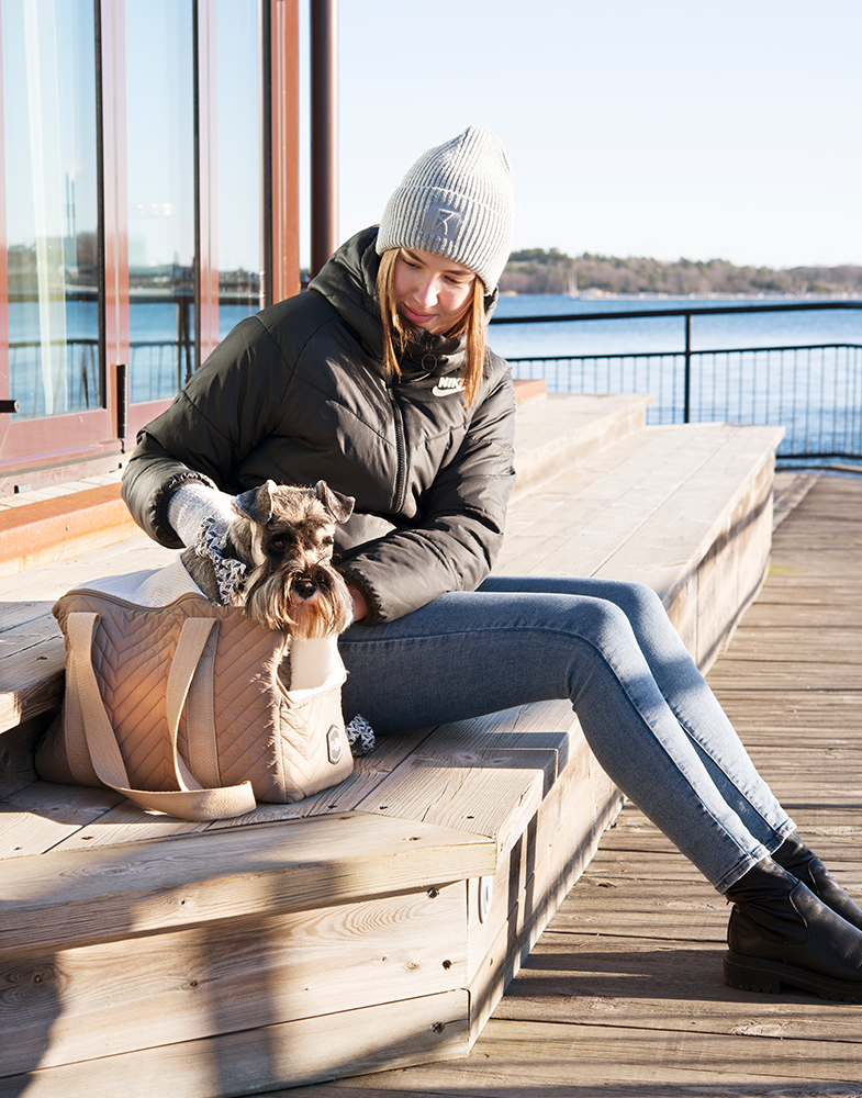 20529, 20668, 20669, 20658,.png