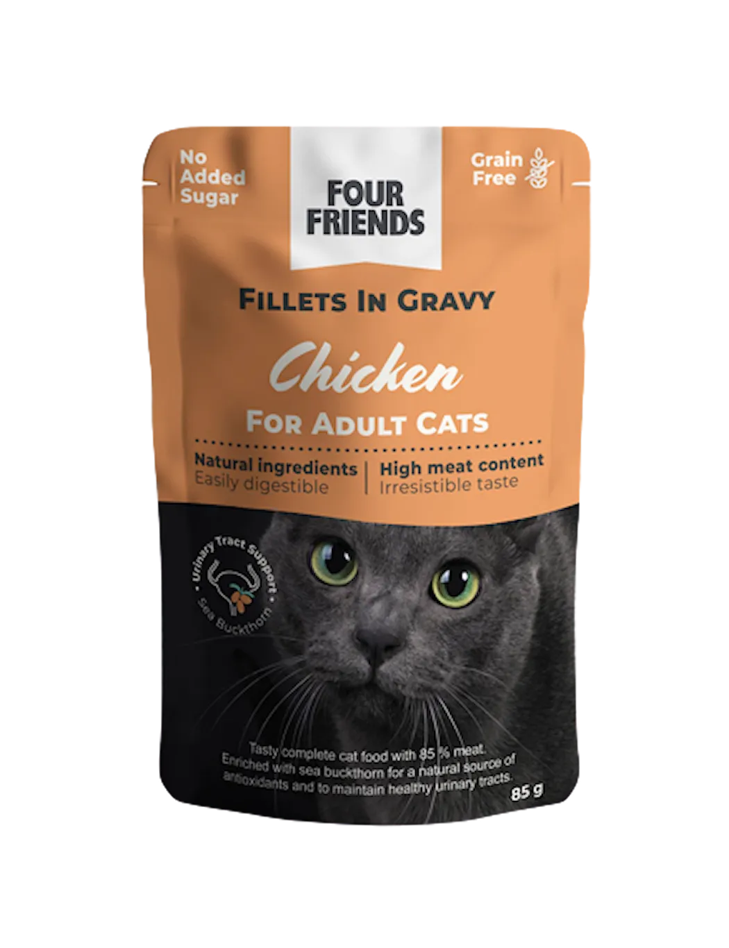 Cat Adult Chicken in Gravy Pouch 85g