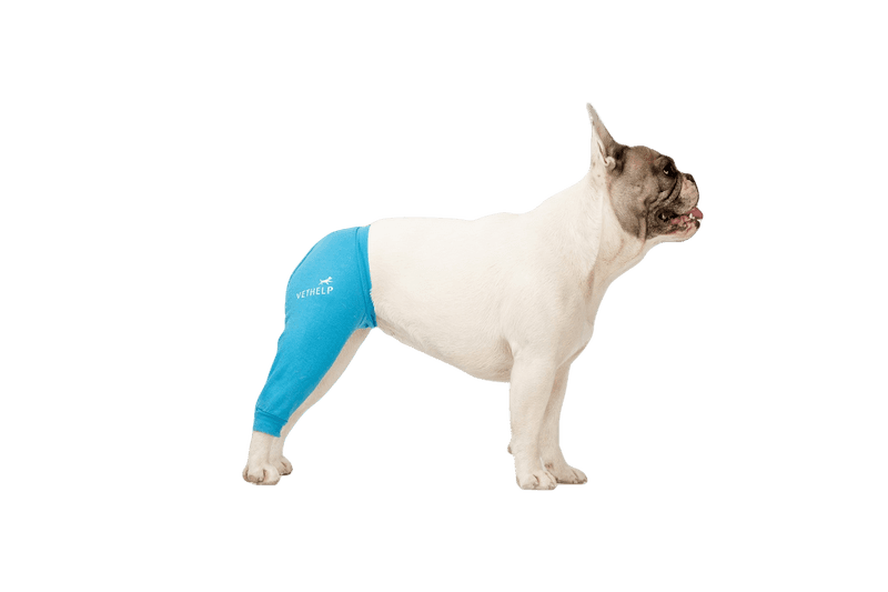 VetHelp - Leg Cover Rear Right Blue Nr 5 - Hund - Hundvård & Tillskott - ZOO.se