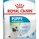 Royal Canin X-Small Puppy Tørrfôr til hundevalp