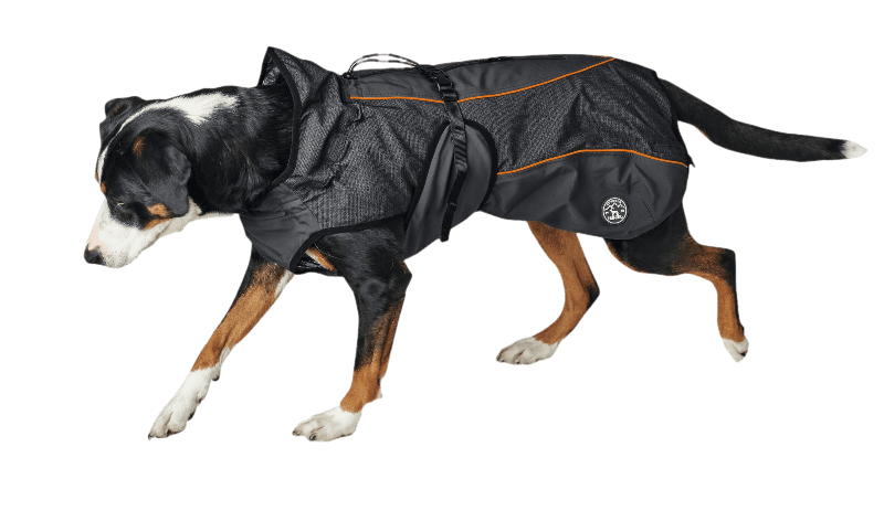 Dog Coat Uppsala Thermo ZOO.no