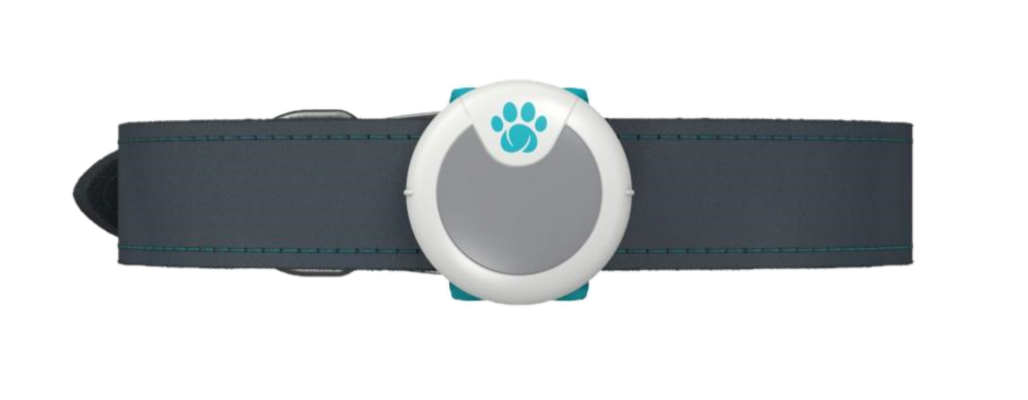 Petcare - Animo Activity Tracker - Katt - Kattsäkerhet & Dörrar - Kattluckor & Kattdörrar - ZOO.se