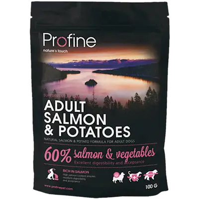 Dog Dry Food Adult Salmon & Potatoes 15kg