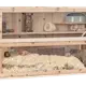 Gnagarbur möss/stor hamster trä 115 × 60 × 60 cm