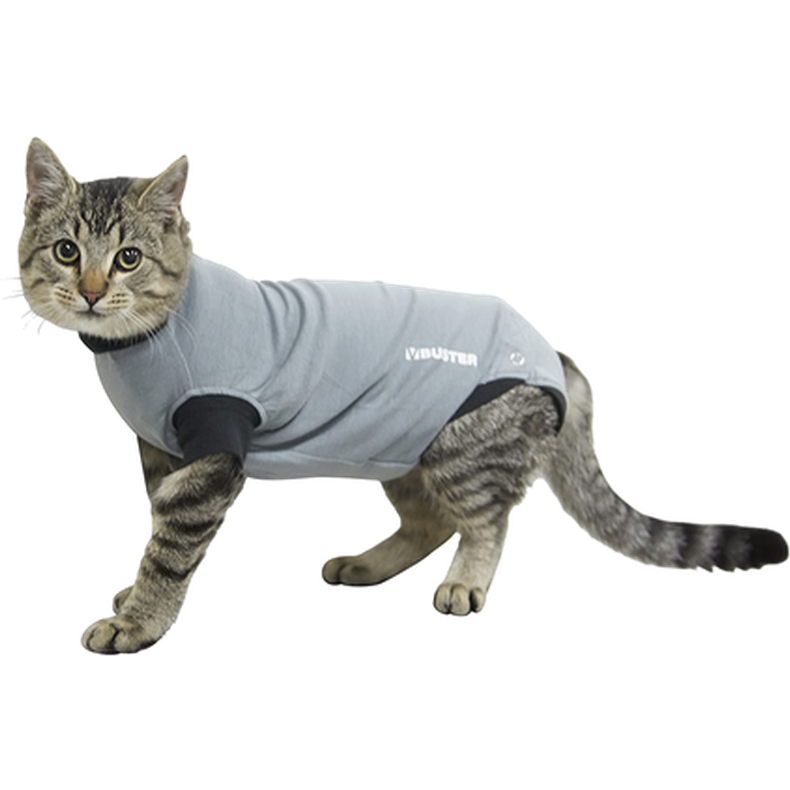 Buster - Body Suit Kissa XXS 33 cm harmaa/musta - Kissat - Kissan hoito ja ravintolisät - Suojakaulukset ja kissan kaulus