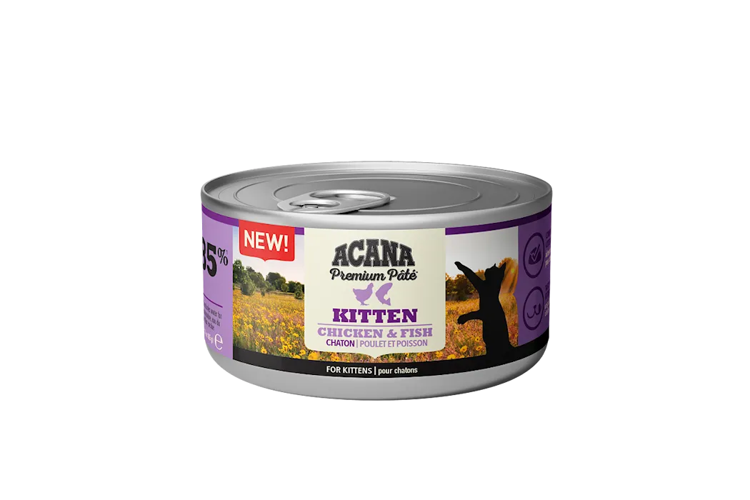 Acana Cat Premium paté Kitten Chicken/ Fish