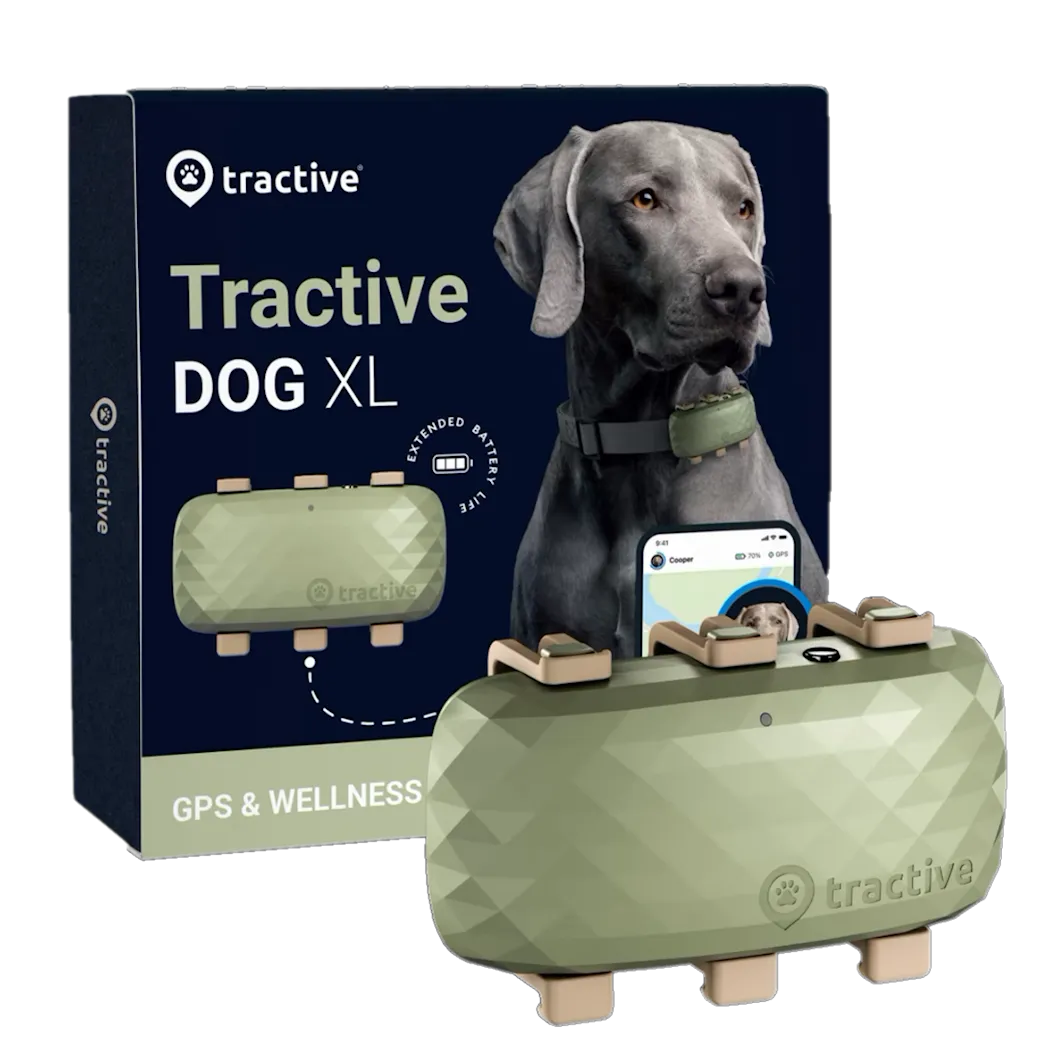 Tractive GPS DOG XL Grön