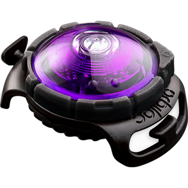 Orbiloc - Safety Light Dog Dual LED - With Quick Mount & Adjustable Strap Purple 5 km - Hund - ZOO.se