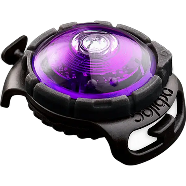 Safety Light Dog Dual LED - With Quick Mount & Adjustable Strap Purple 5 km
