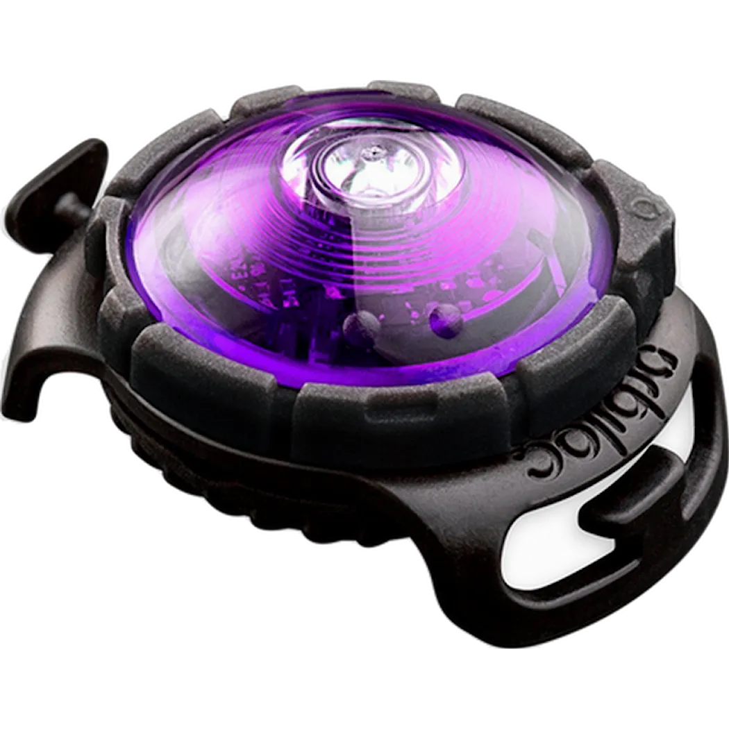 Safety Light Dog Dual LED - With Quick Mount & Adjustable Strap Purple 5 km
