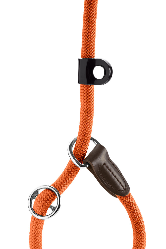 hunter-leash-retriever-freestyle-zoo-no