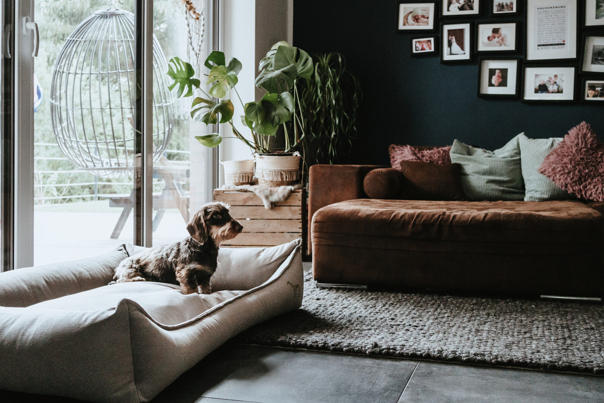 Hunter Sofa Orthopedic Merida miljöbild.jpg