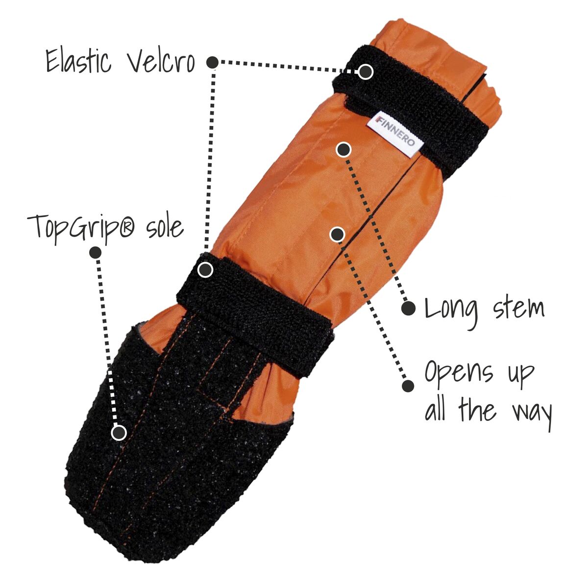 FINNERO SULO features.jpg