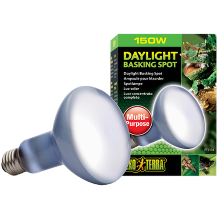 Dagslysbasert solstråle R20 100W - Sun Glo - Reptil - Terrariebelysning - UV-lamper for terrarium - Exoterra