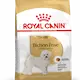 Royal Canin Rase Bichon Frise Voksen 1,5 kg